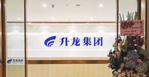 迷你 物企万盈服务欲上市 极其依赖升龙集团,林亿全资控股